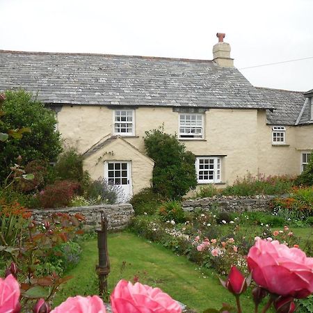 Higher Tresmorn Farm Crackington Haven Exterior foto