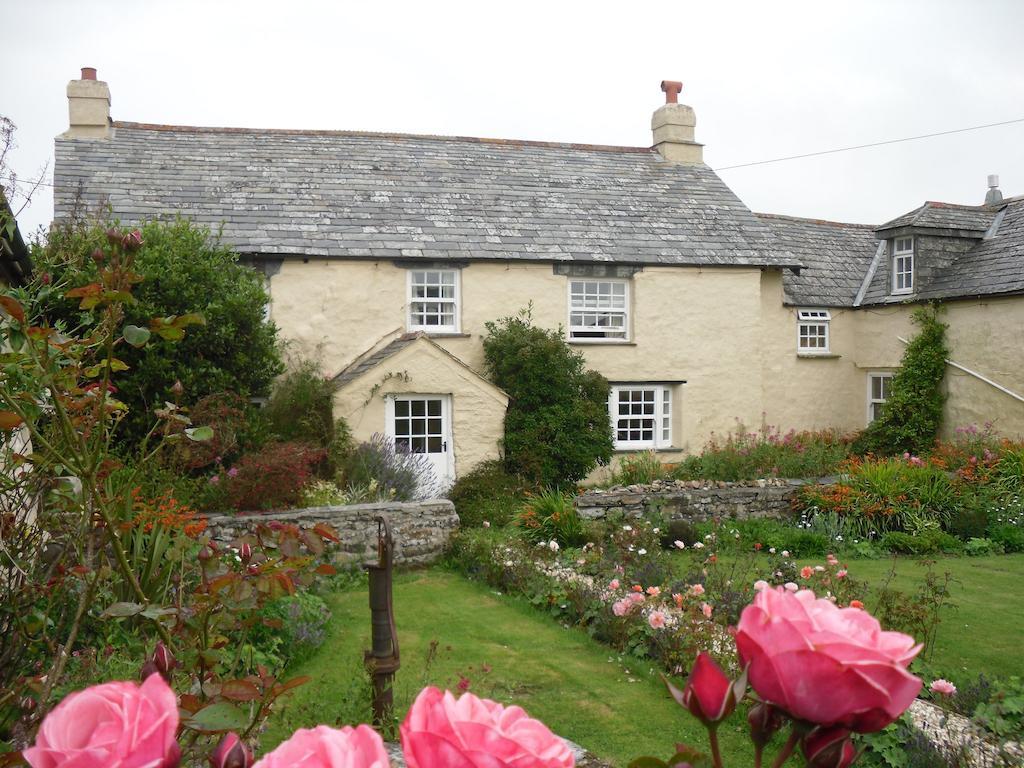 Higher Tresmorn Farm Acomodação com café da manhã Crackington Haven Exterior foto