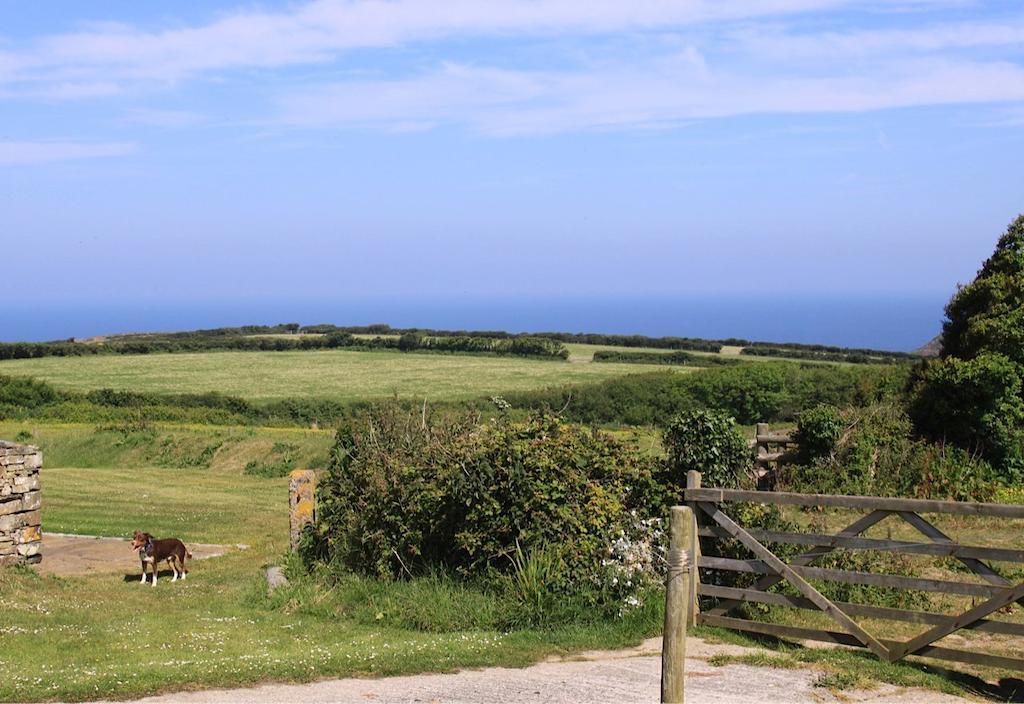 Higher Tresmorn Farm Acomodação com café da manhã Crackington Haven Exterior foto