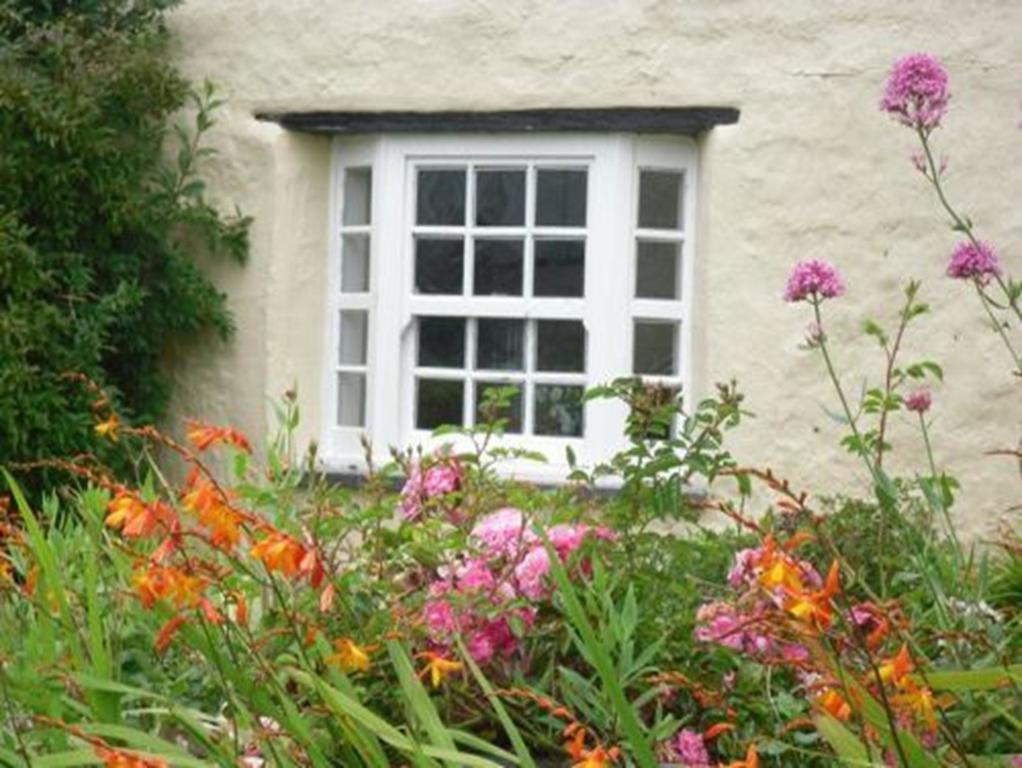 Higher Tresmorn Farm Acomodação com café da manhã Crackington Haven Exterior foto